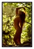 3/kim verdure site.jpg